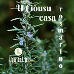 U Ciousu By Ligurian Life In