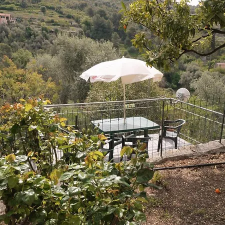 U Ciousu By Ligurian Life In * Vallebona