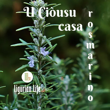 U Ciousu By Ligurian Life In