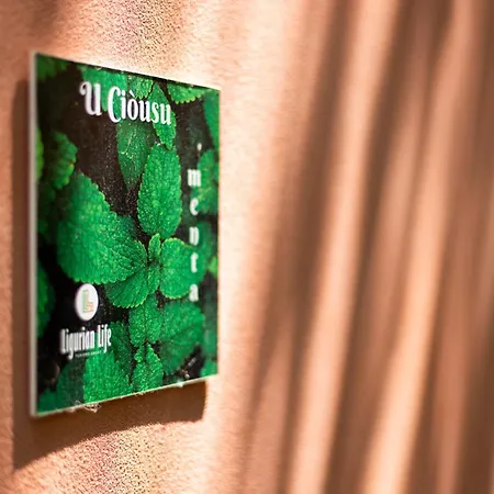 U Ciousu By Ligurian Life In * Vallebona