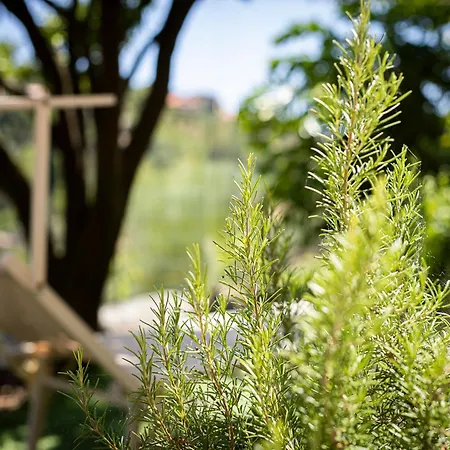 U Ciousu By Ligurian Life In 아파트 Vallebona